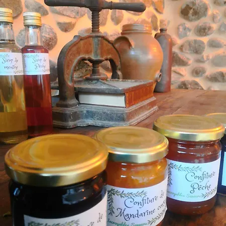 La Secrete Bed and Breakfast Vogue